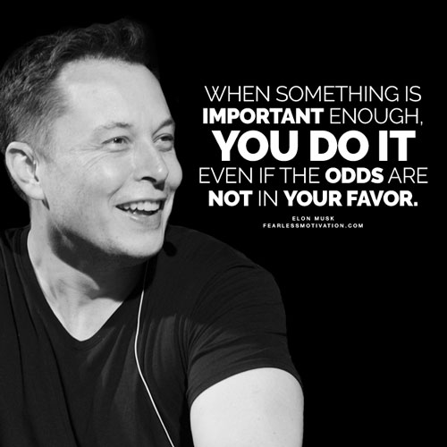Effective Quote - Elon Musk